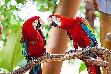 《小缇娜的奇幻之地》新演示即将公布 敬请期待